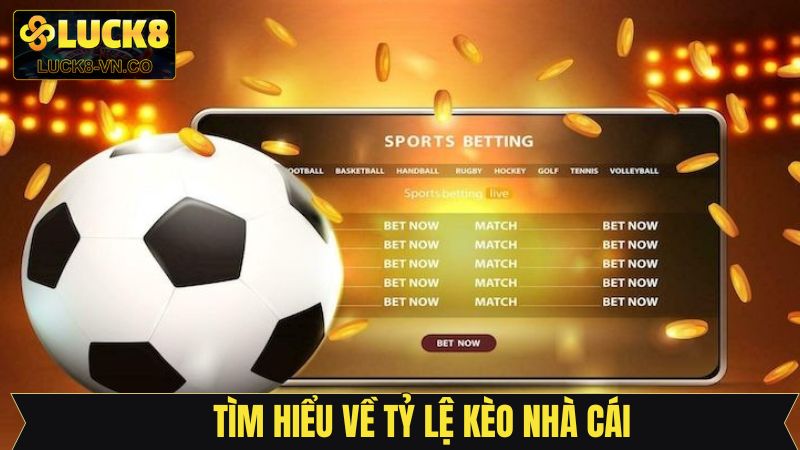 Tỷ Lệ Kèo Nhà Cái - Cập Nhật Chuẩn Xác Nhất Từ Luck8 2 Khái quát dễ hiểu về những dạng cược hot