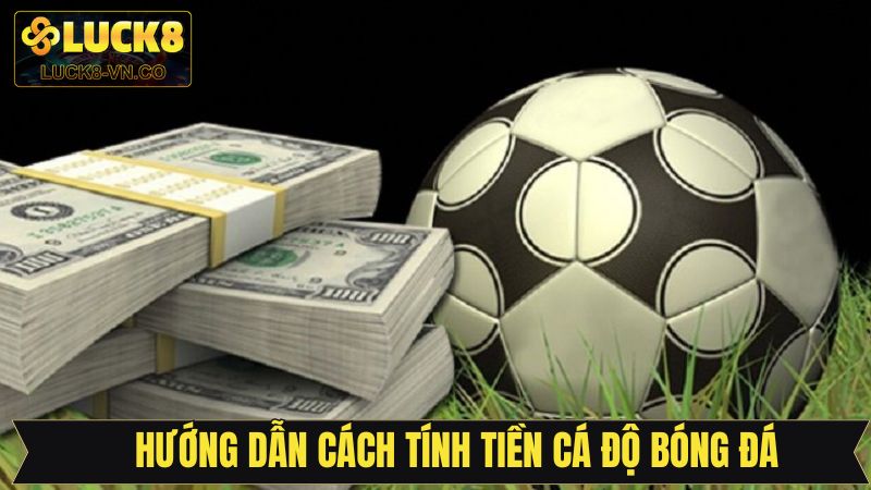 Cách Tính Tiền Trong Cá Độ Bóng Đá Chi Tiết, Dễ Hiểu Nhất 3 Hướng dẫn chi tiết cách tính tiền trong cá độ bóng đá chuẩn