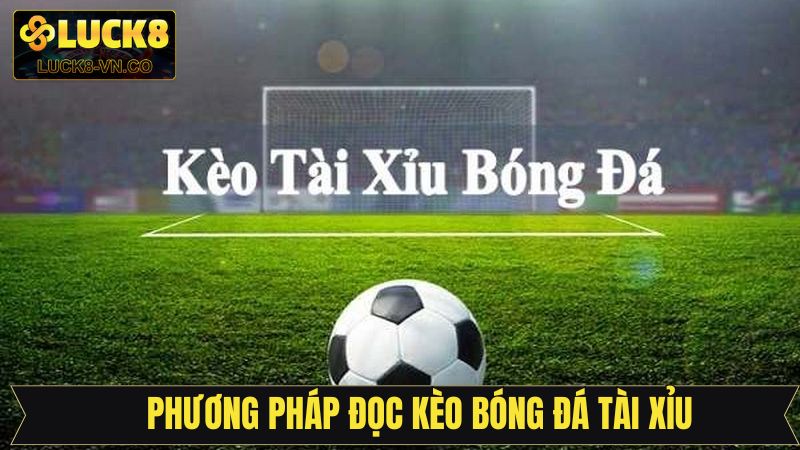 Đọc Kèo Bóng Đá Tài Xỉu - Dự Đoán Cá Cược Siêu Chuẩn Xác 3 Tổng hợp phương pháp đọc kèo tài xỉu nên áp dụng