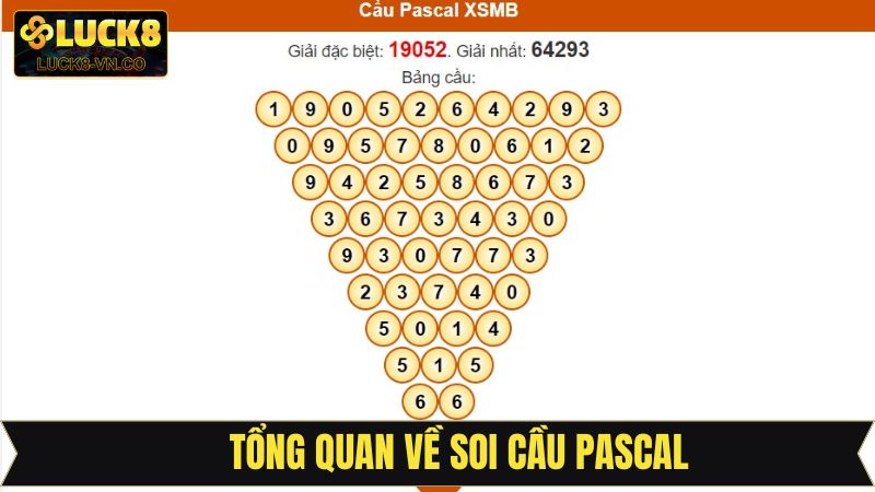 Tìm hiểu thông tin sơ lược về soi cầu pascal