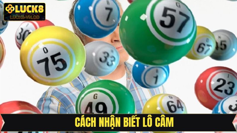 Lô Câm - Bí Kíp Soi Cầu Cực Chuẩn, Cơ Hội Trúng Lớn Tại Luck8 3 Bí quyết nhận diện các dãy số bị thiếu trong KQXS